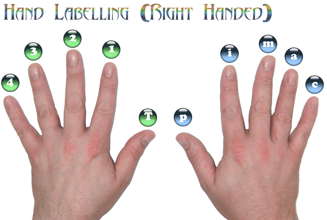 Left and right hand positions for playing guitar from GuitarSavvy.co 