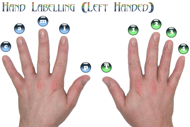 Hand Labelling for left handed guitarists